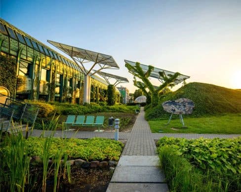 A low glass building under solar canopies, with planted beds along the path to it.